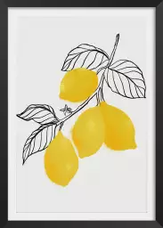 Lamya lemons - affiche fruits