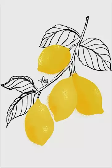 Lamya lemons - affiche fruits