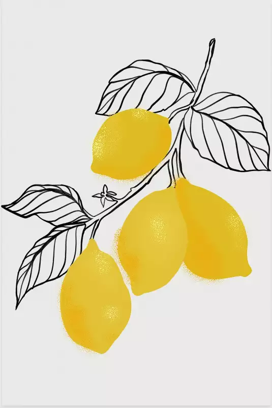 Lamya lemons - affiche fruits