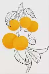 Mabel oranges - affiche fruits