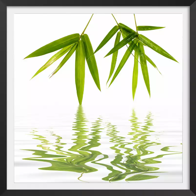 Feuilles de bambous - poster zen