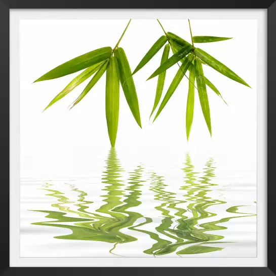 Feuilles de bambous - poster zen