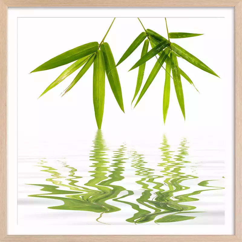 Feuilles de bambous│Affiches zen│ Affiches et tableaux