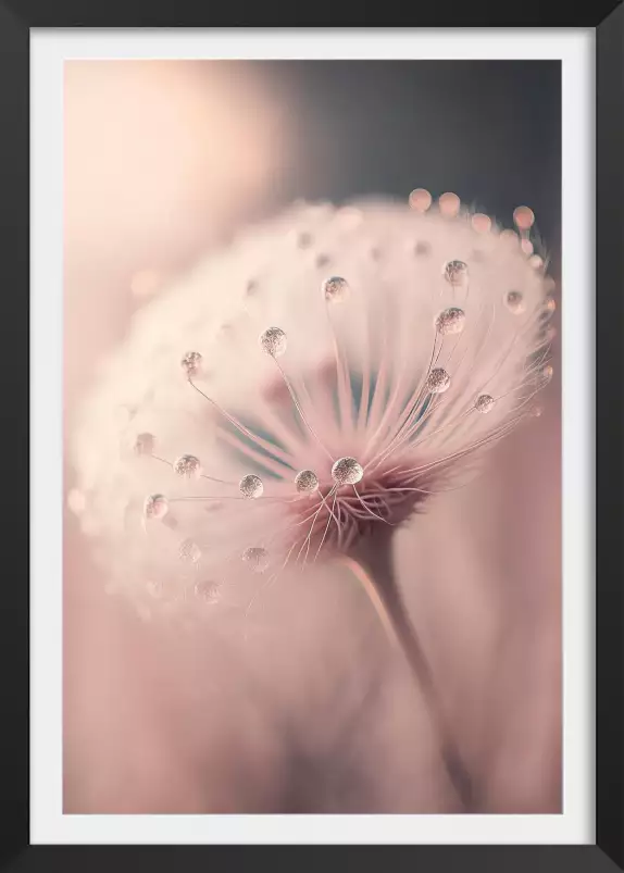 Rêve de roses - affiche de fleurs