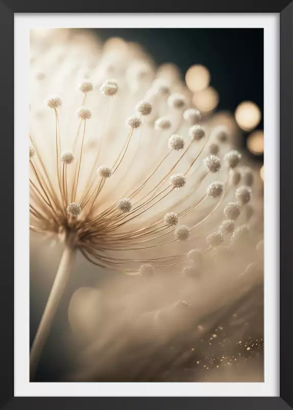 Petits pompons - affiche de fleurs