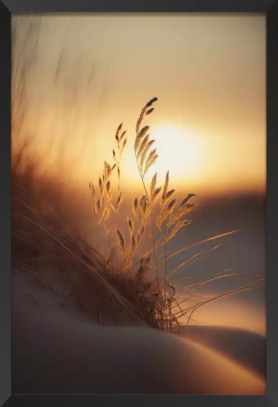 Soleil du soir à la plage - affiche mer et plage