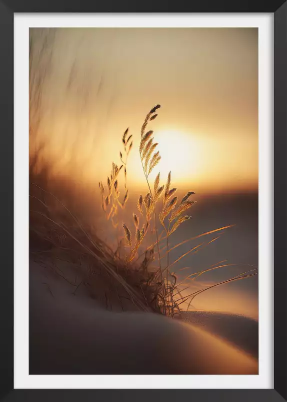 Soleil du soir à la plage - affiche mer et plage