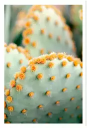 Orange et vert botanique - affiche cactus