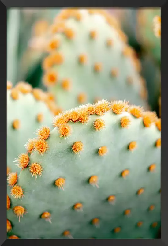 Orange et vert botanique - affiche cactus