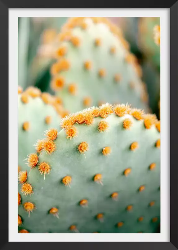 Orange et vert botanique - affiche cactus