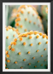 Orange et vert botanique - affiche cactus
