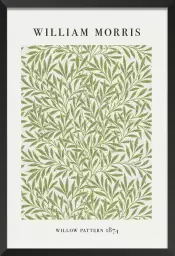 Motif de saule - affiche feuille