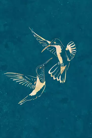 Colibri d'or - affiche oiseaux
