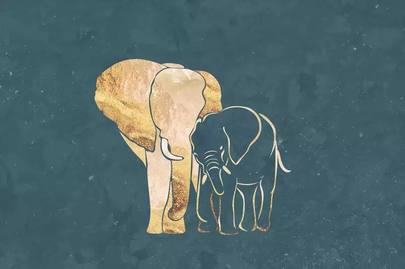 Éléphant d'or - peinture elephant