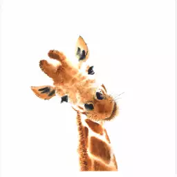 Charmante girafe - poster enfants