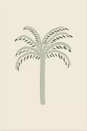 Cocotier vert - affiche botanique palmier