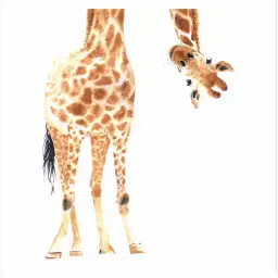 Coucou de girafe - affiche enfant