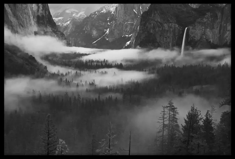 Brouillard dans le Yosemite Posters de paysages HEXOA