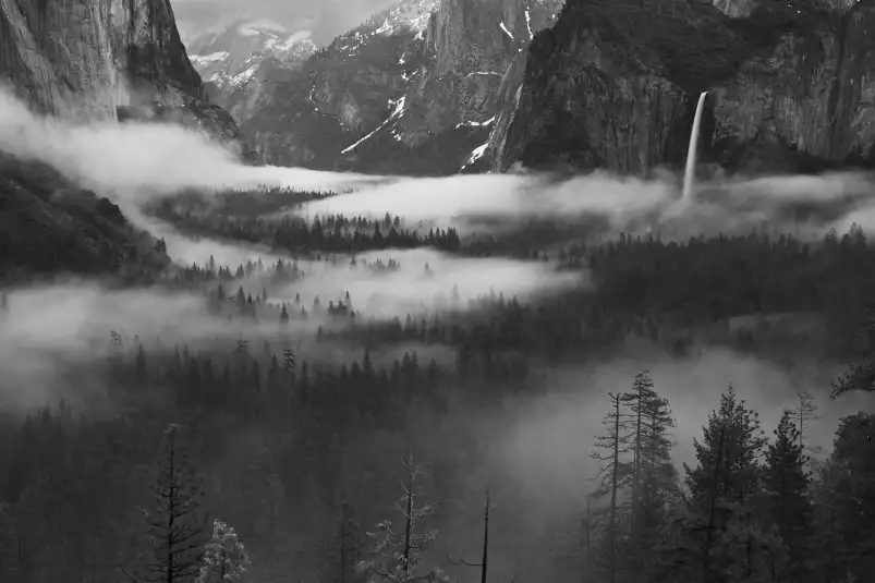 Brouillard flottant dans la vallée de Yosemite - tableau paysage