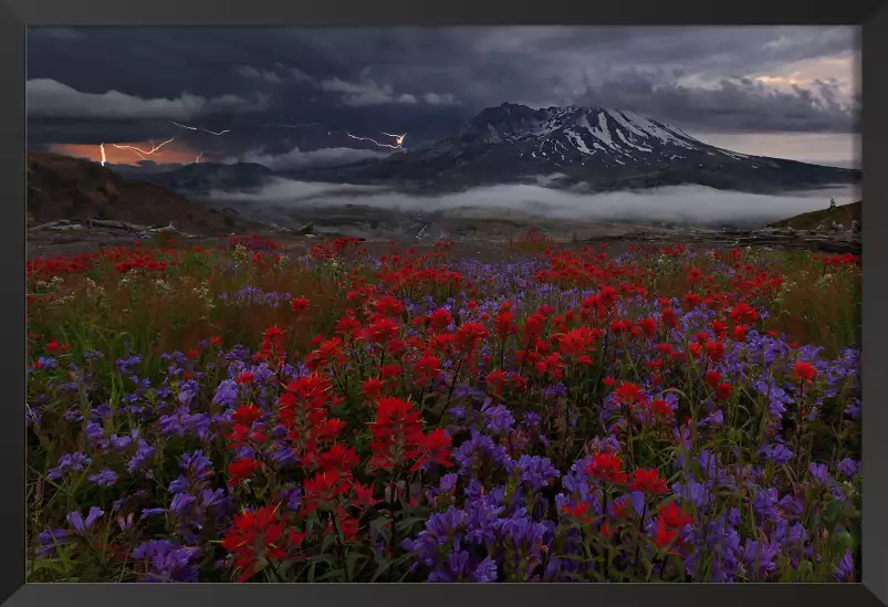 Le Mont Hélène - tableau avec coquelicot