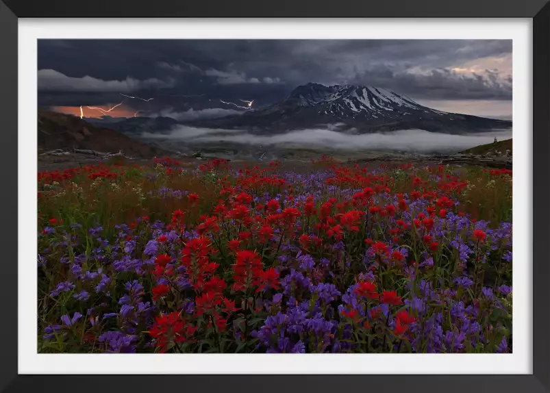 Le Mont Hélène - tableau avec coquelicot