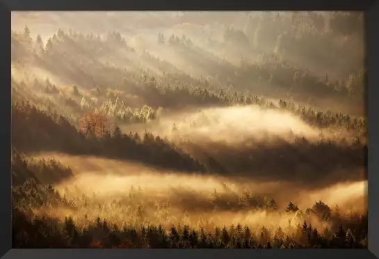 Rayons d'automne - poster paysage