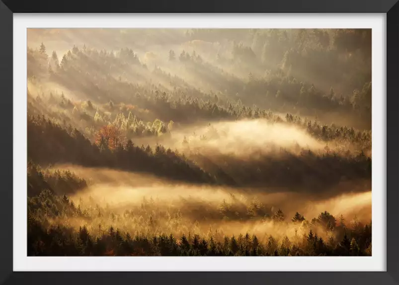 Rayons d'automne - poster paysage