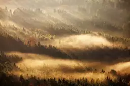 Rayons d'automne - poster paysage