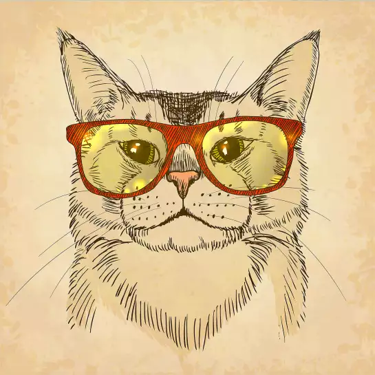 Chaton à lunettes intello - tableaux chats