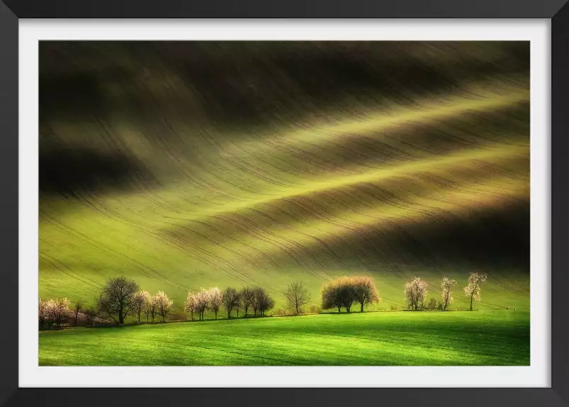 Champs moraves - tableau paysage