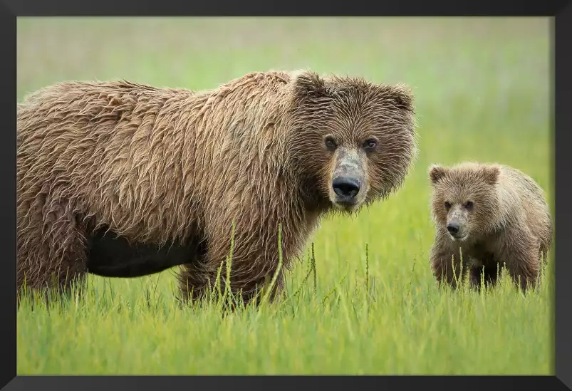 Moi et mini moi - photo animaux