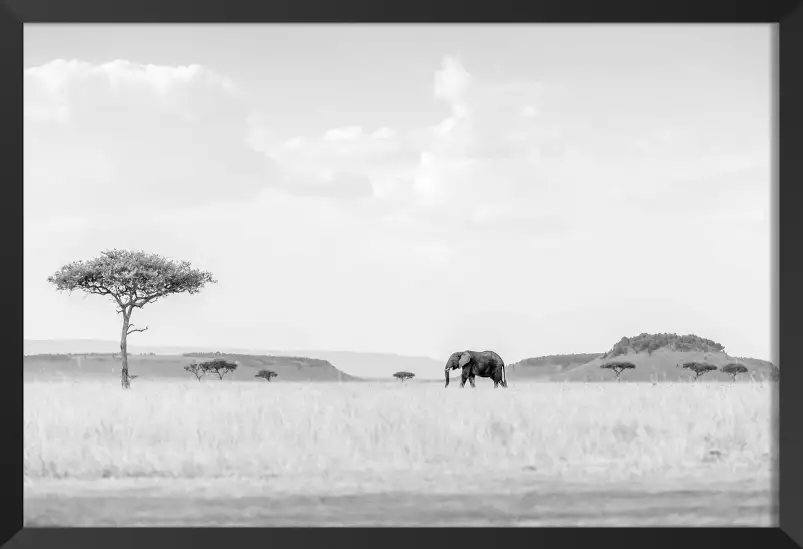 Savane High Key - photos noir et blanc célébrités