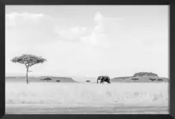 Savane High Key - photos noir et blanc célébrités