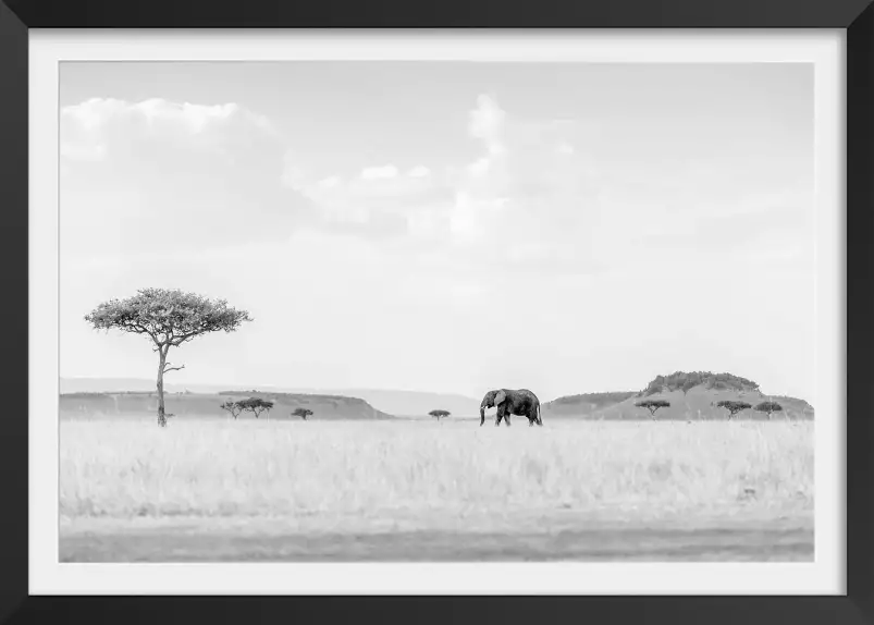 Savane High Key - photos noir et blanc célébrités