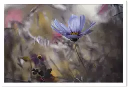 Ce que racontent les fleurs - poster fleurs