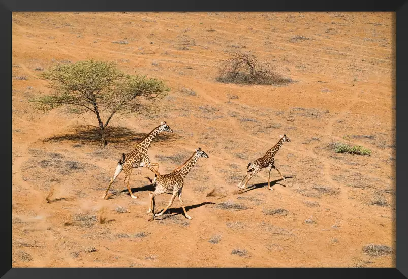 Paradis familial - affiche animaux