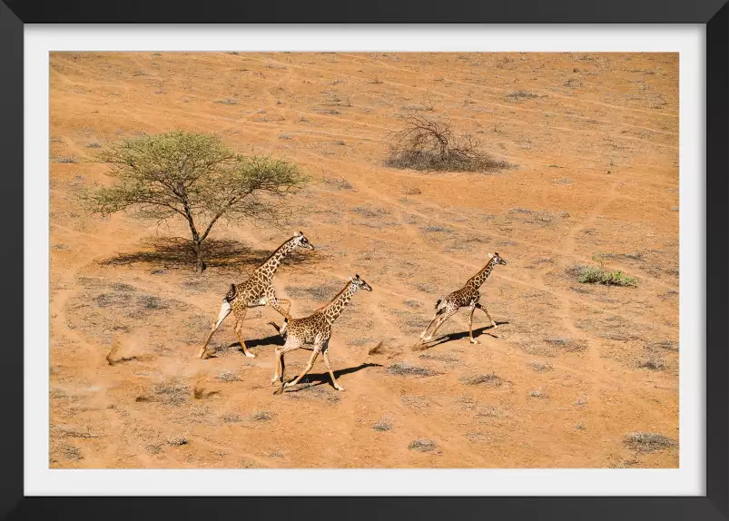 Paradis familial - affiche animaux