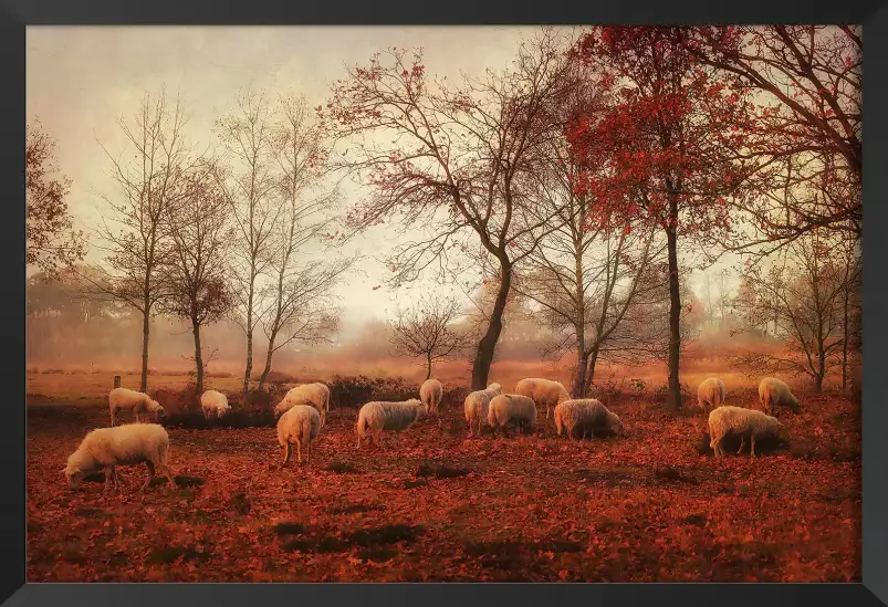 Derniers jours de l'automne - affiche animaux