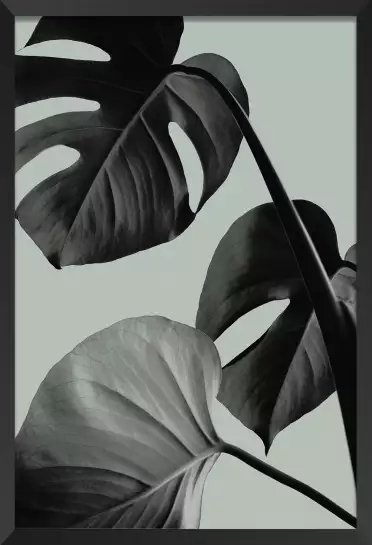 Monstera retro - affiche botanique vintage