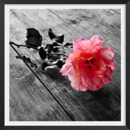 Rosas - tableau fleur rose