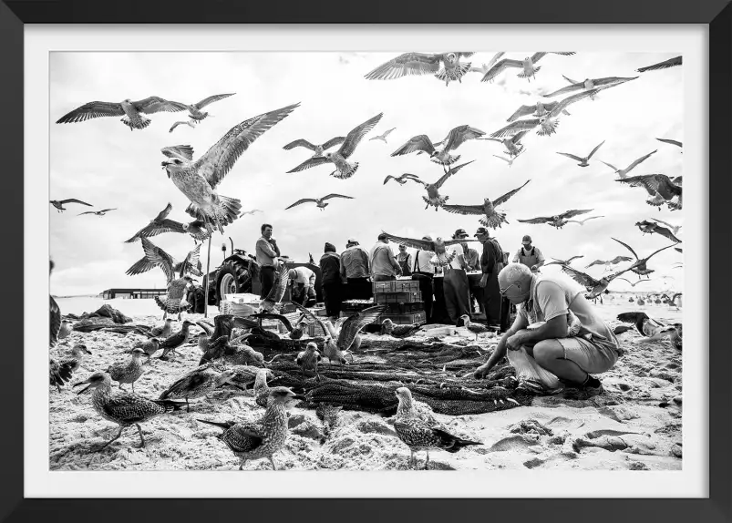 Oiseaux - affiche bord de mer