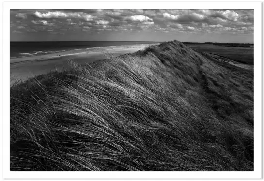 Cheveux de dunes - affiche paysage