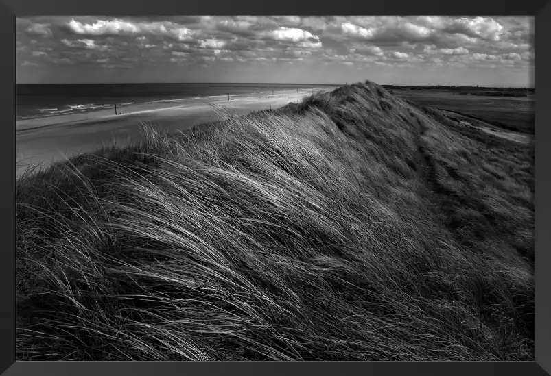 Cheveux de dunes - affiche paysage