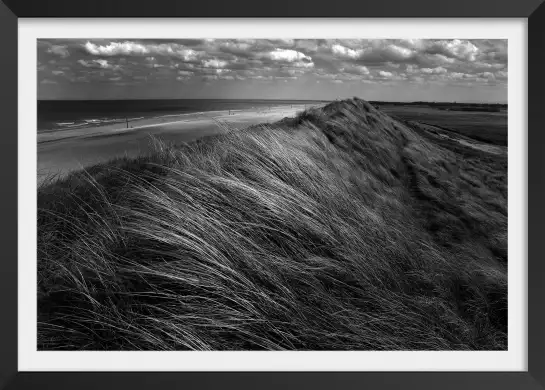 Cheveux de dunes - affiche paysage