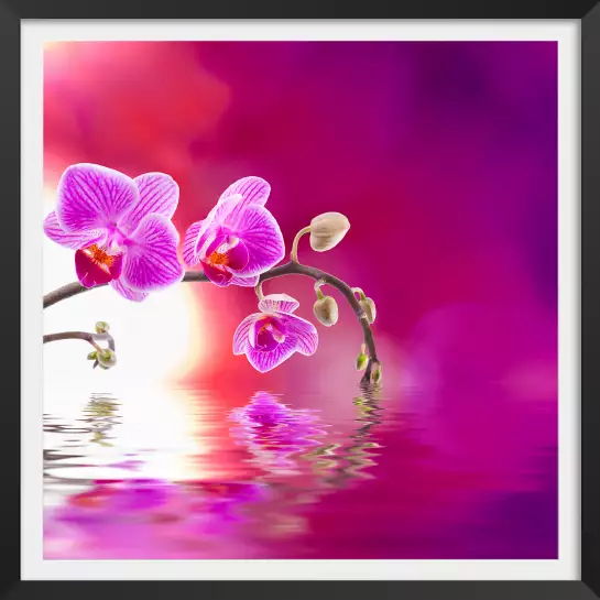 Fleurs orchidée violet - tableau fleurs moderne