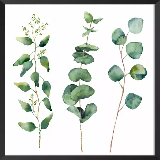 Aquarelle eucalyptus - tableaux peinture