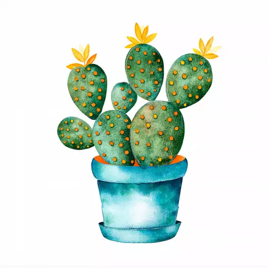 Pot de cactus - affiche cactus