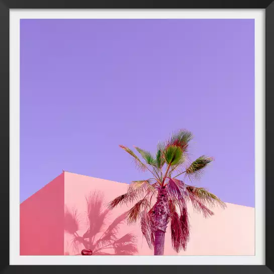Pink palma - affiches palmiers