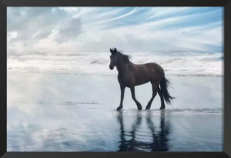 Mouvement du cheval - affiche cheval