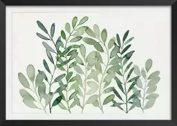 Fourrages - poster plantes